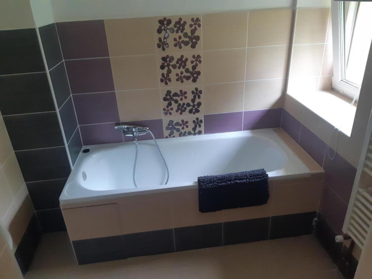Apartmany U Mlyna Velke Losiny Exterior photo